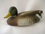 duck mal